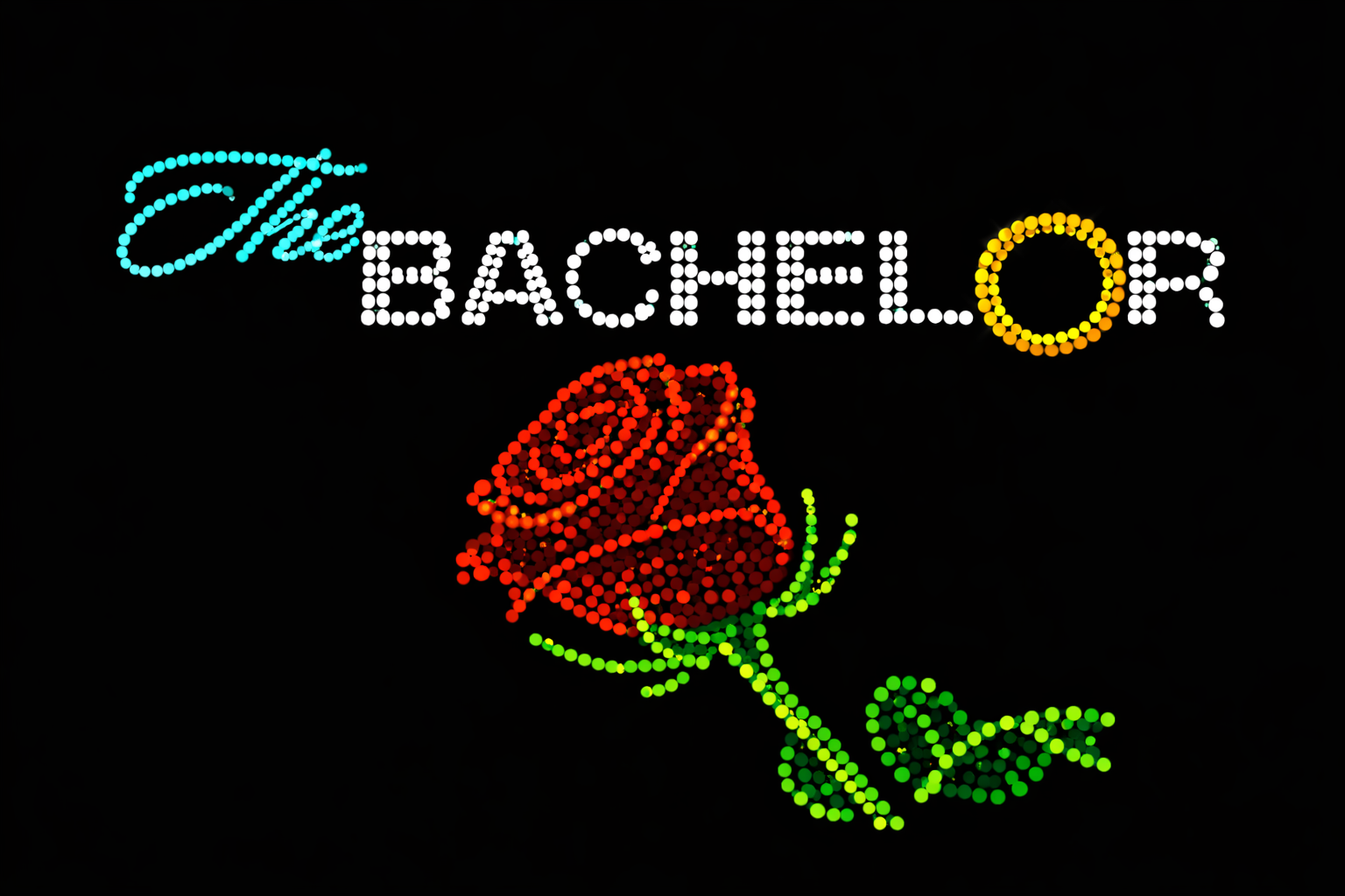 The Bachelor